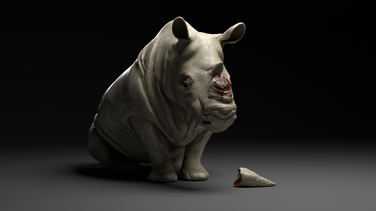 Horn_Final