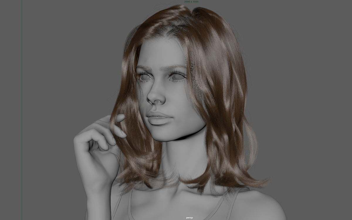 maya_viewport