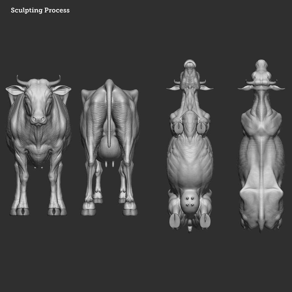 Cow_3