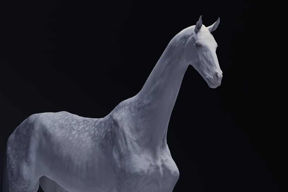 01_Horse