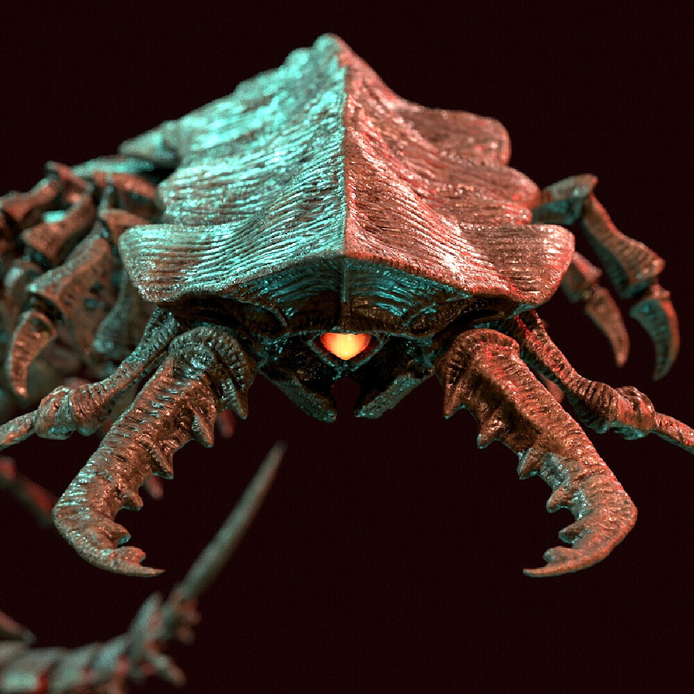 dirk-wachsmuth-insta-centipede-b-01