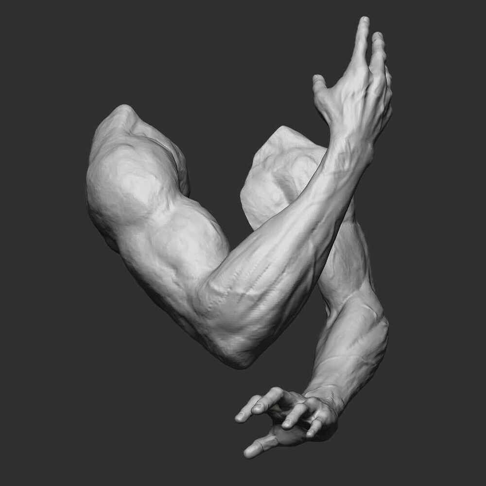 Arms_n_hands_4