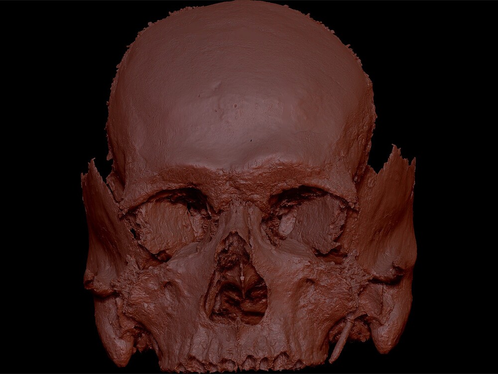 virtualanatomyatlas_1710093979737