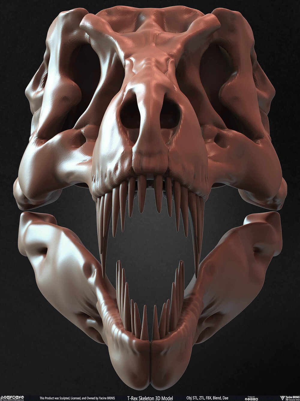 T-Rex Skeleton 3D Model (Tyrannosaurus Rex) Sculpted By Yacine BRINIS Set 028
