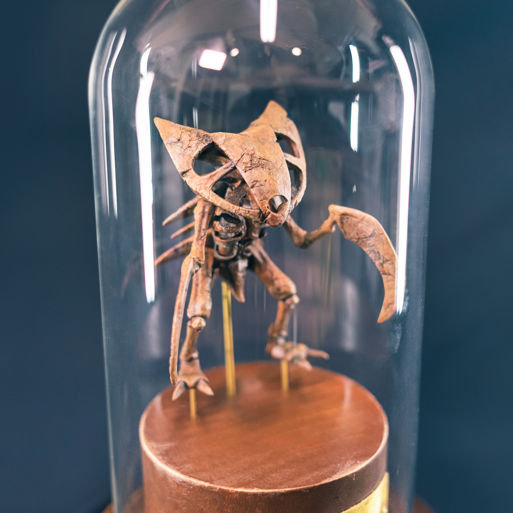 Fossil of Kabutops ZBrushCentral