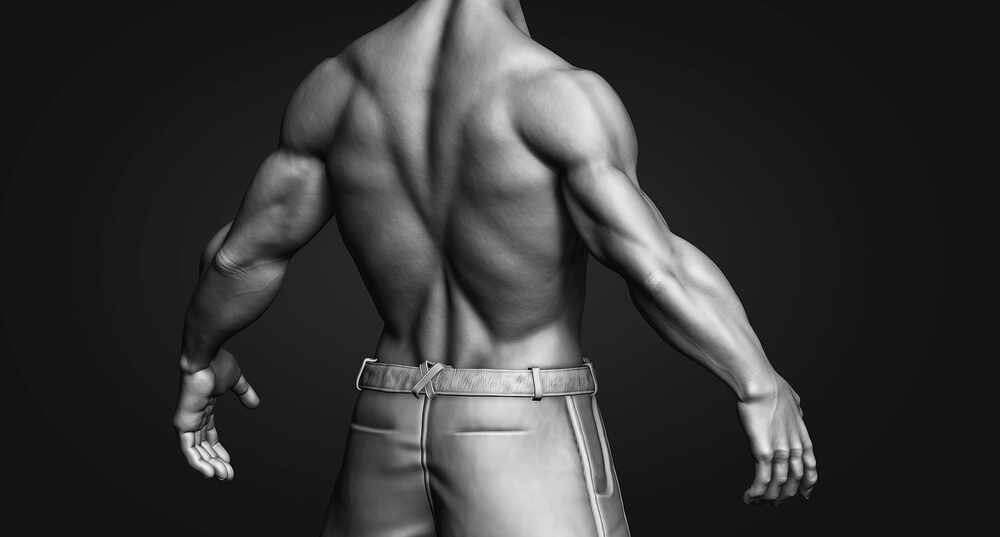 Zbrush_UpperBody_Back