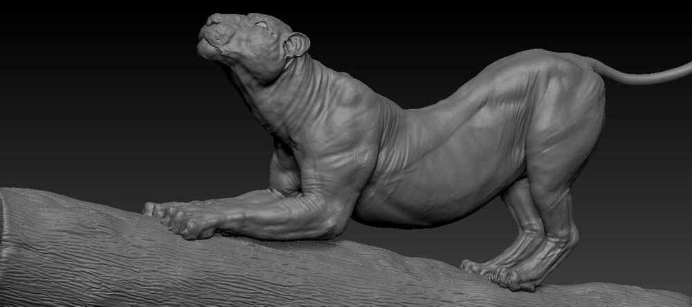 ZBrush Document