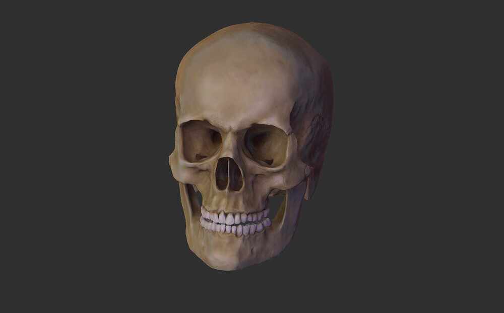 Craneo_Render_Bruto