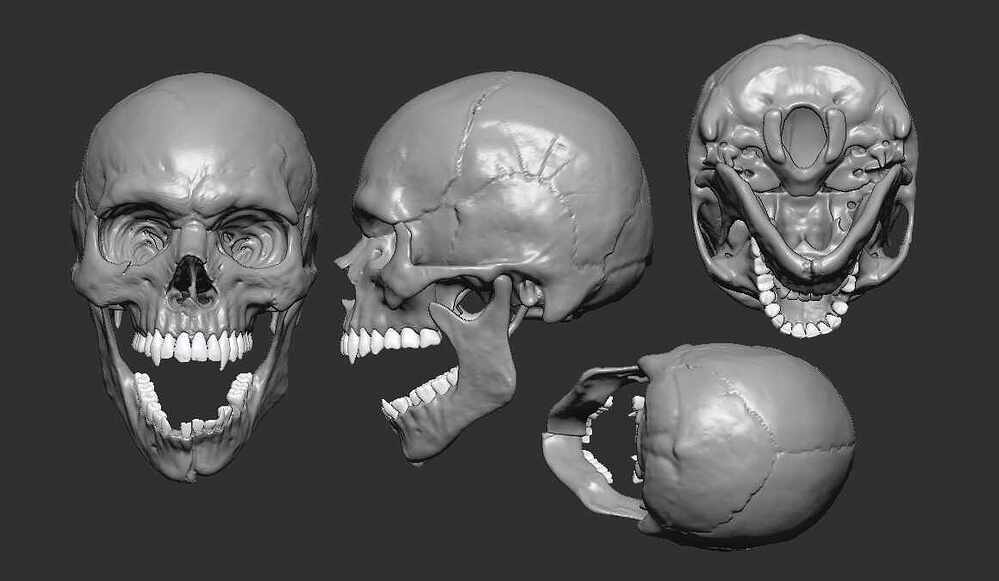 zbrushhv