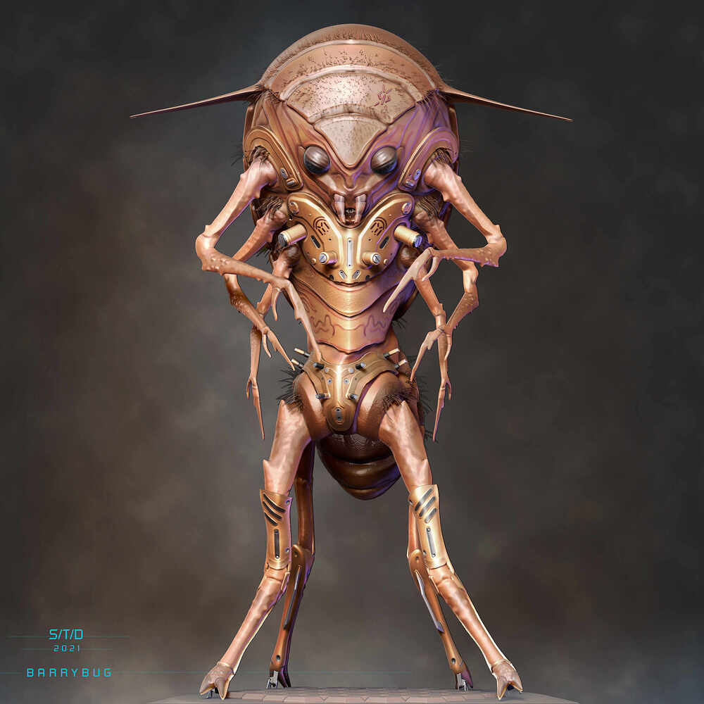 Barrybug1