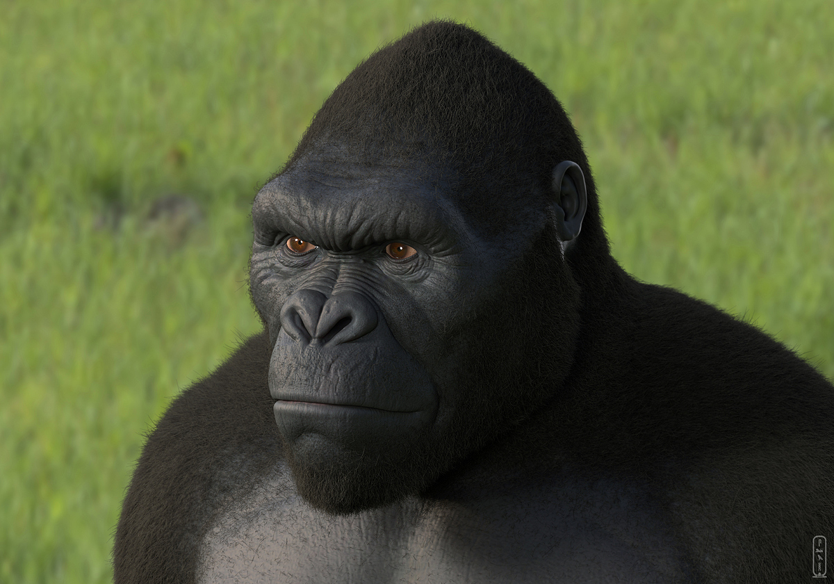 salah-elshehry-z41x-kong