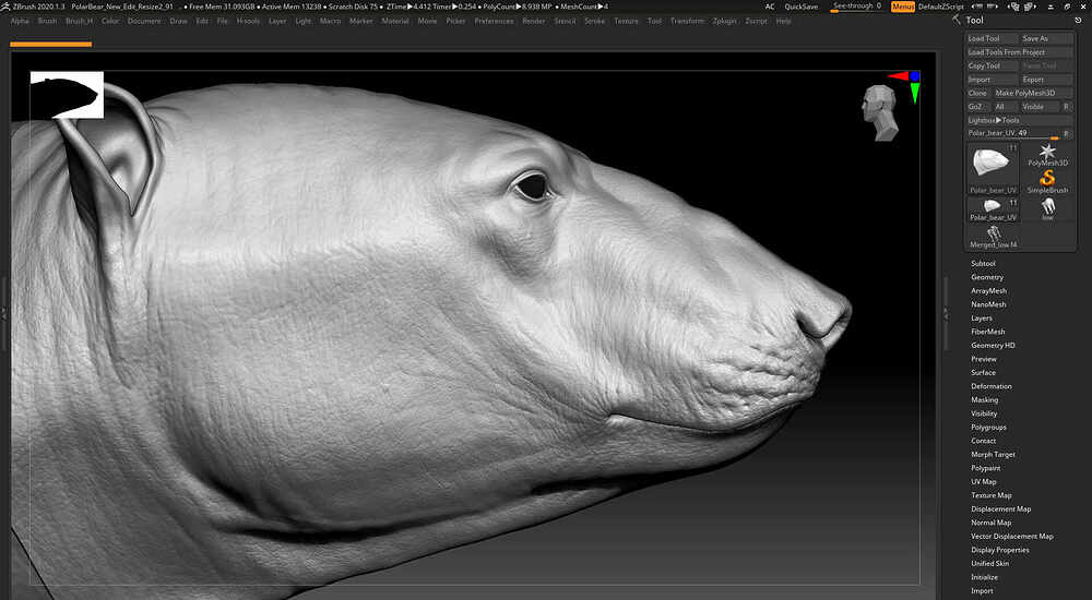 Polar Bear _Zbrush-www.h-mortazavi.com