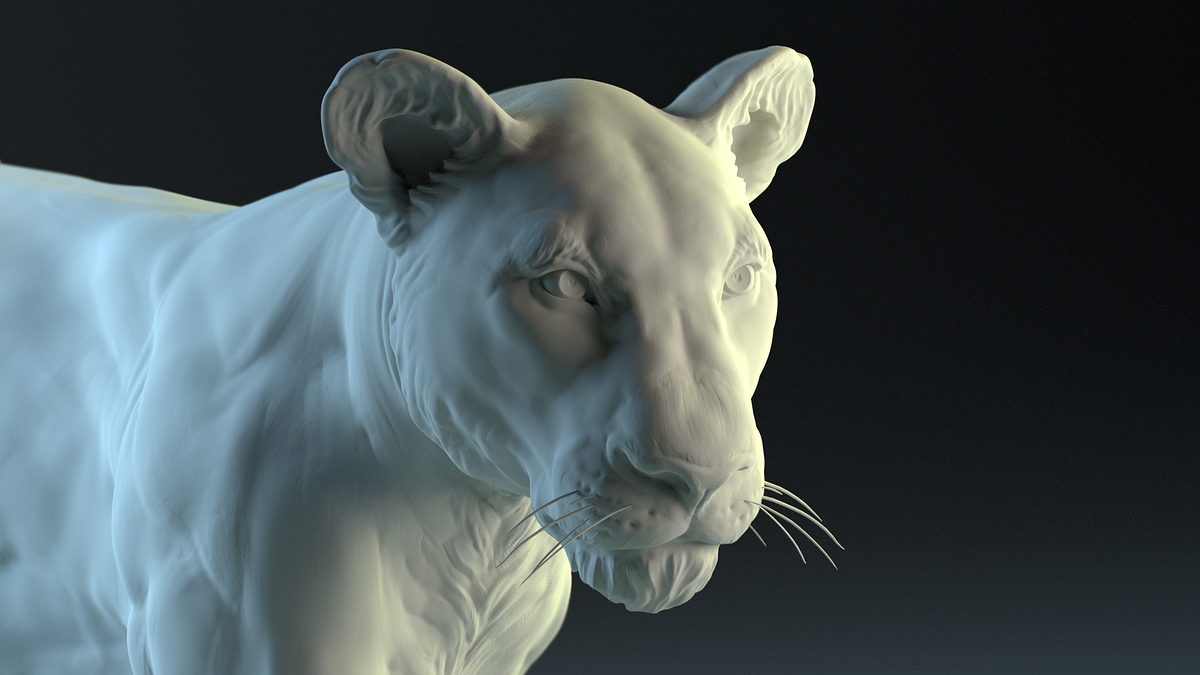 %20Lion%20Face