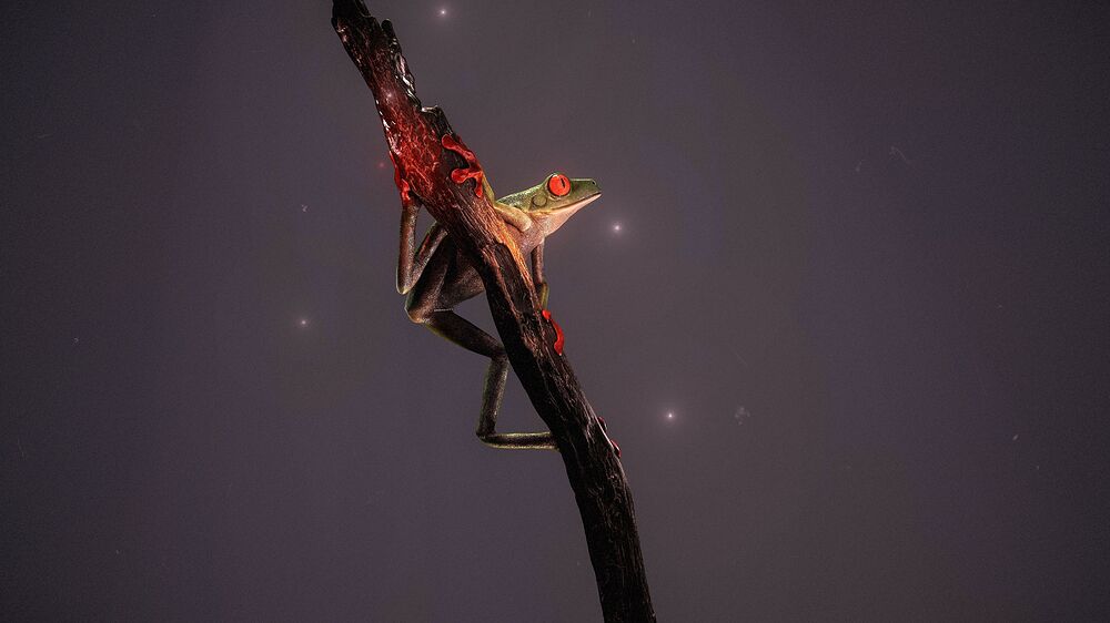 Diseño sin título (3)