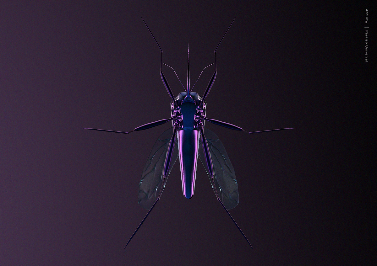 mosquito3