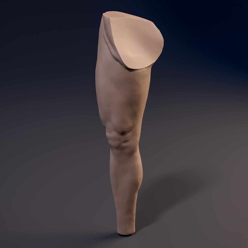 Leg_Straith_Cam_02