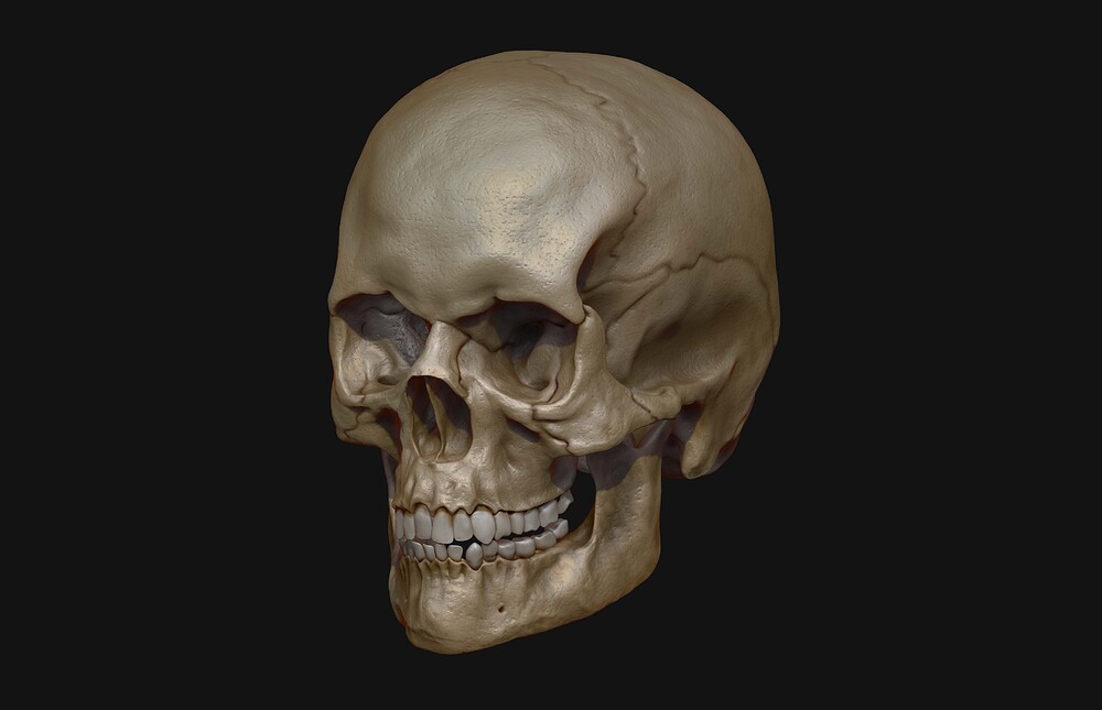 RAMON_ROMERO_PERPIÑA_Craneo_Render_Bruto