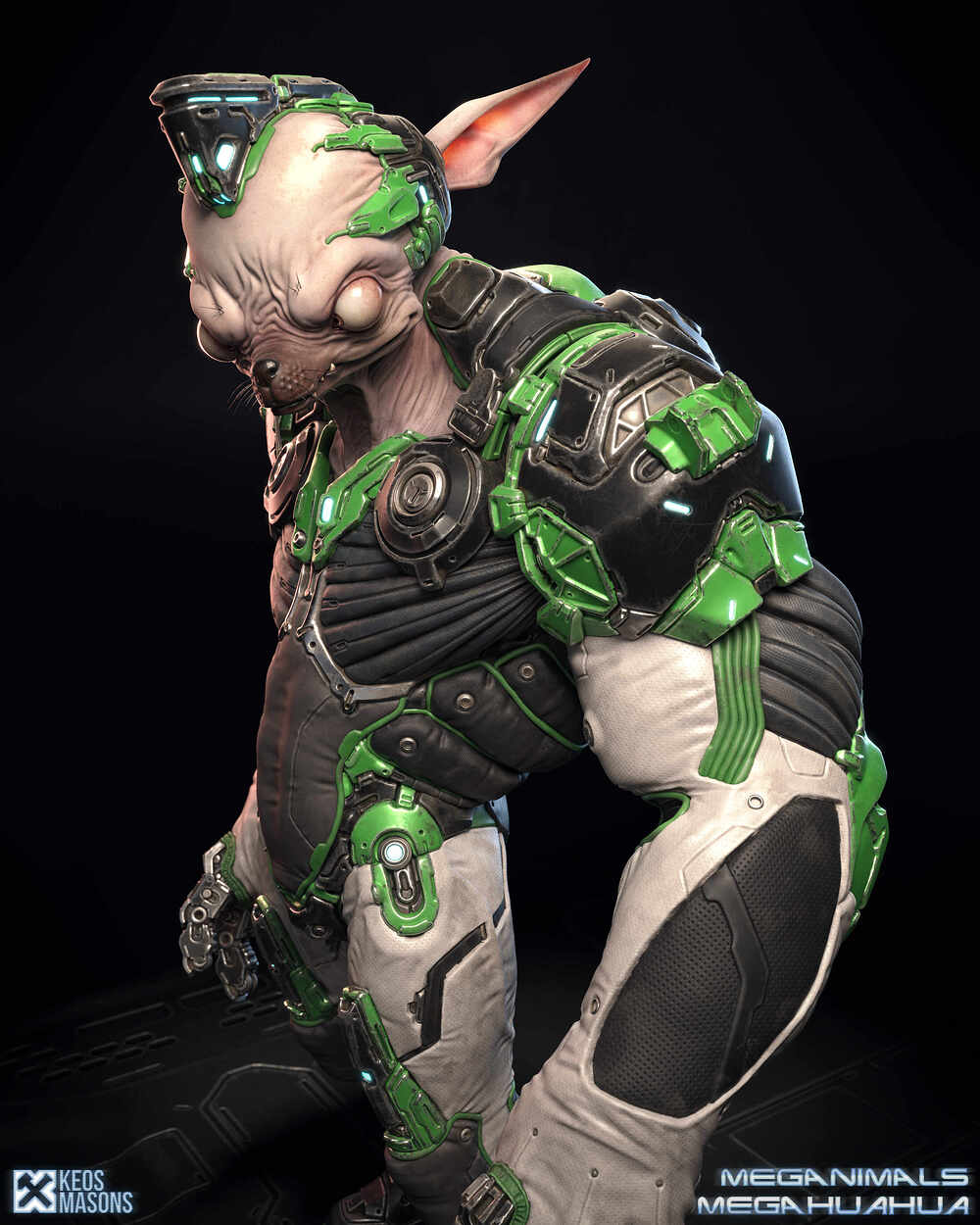 Megahuahua_11