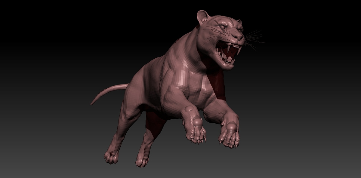tiger10