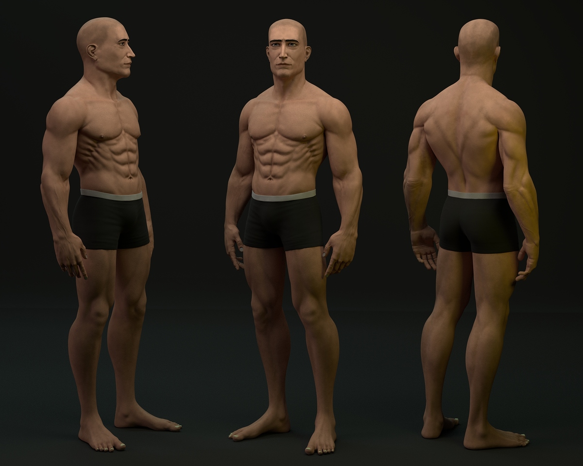 anatomy%2030