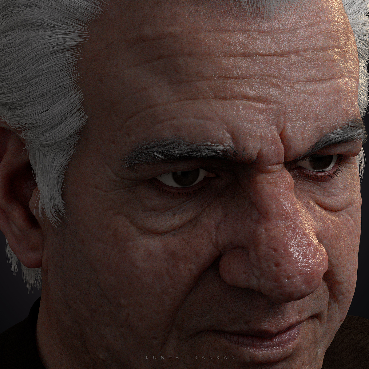 omPuri_kuntalSarkar_viewAA