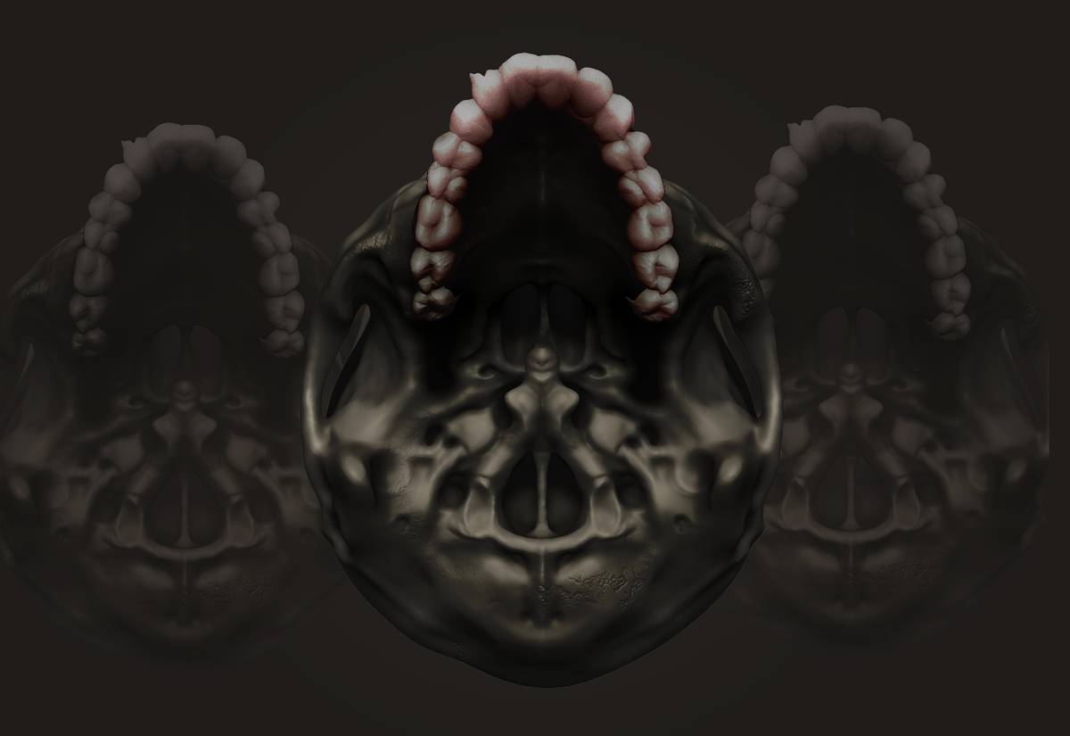 lowerskull