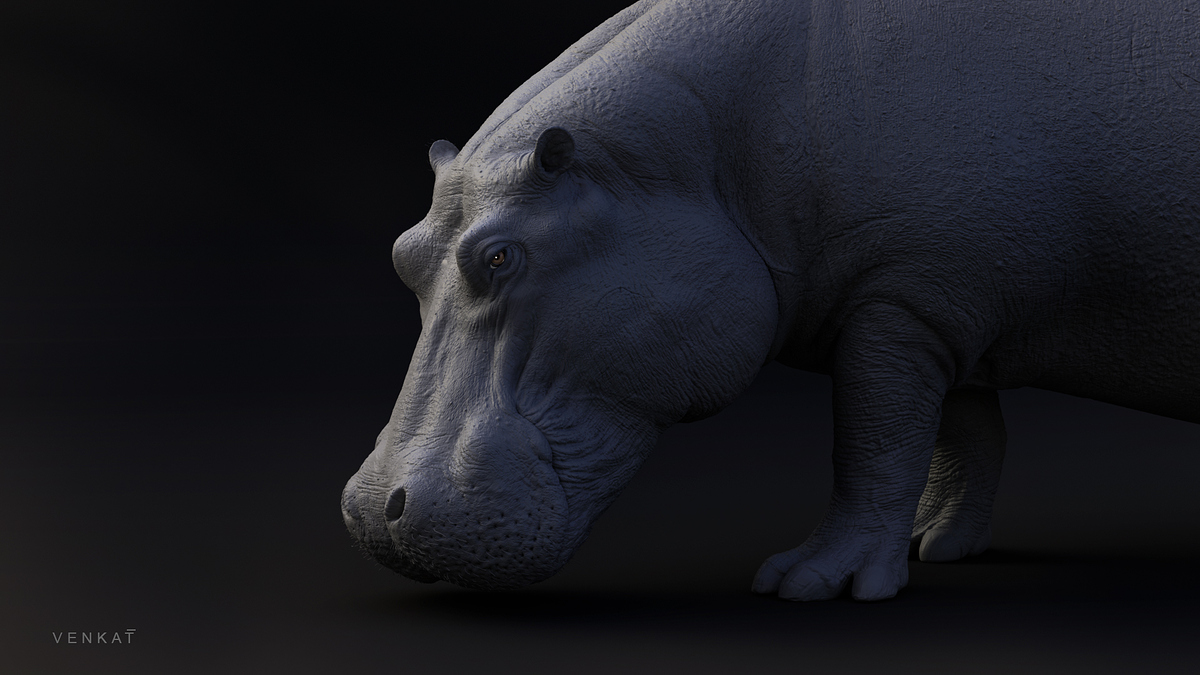 hippo_13_fx