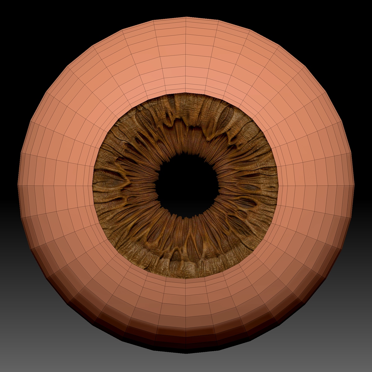 polypaint_iris