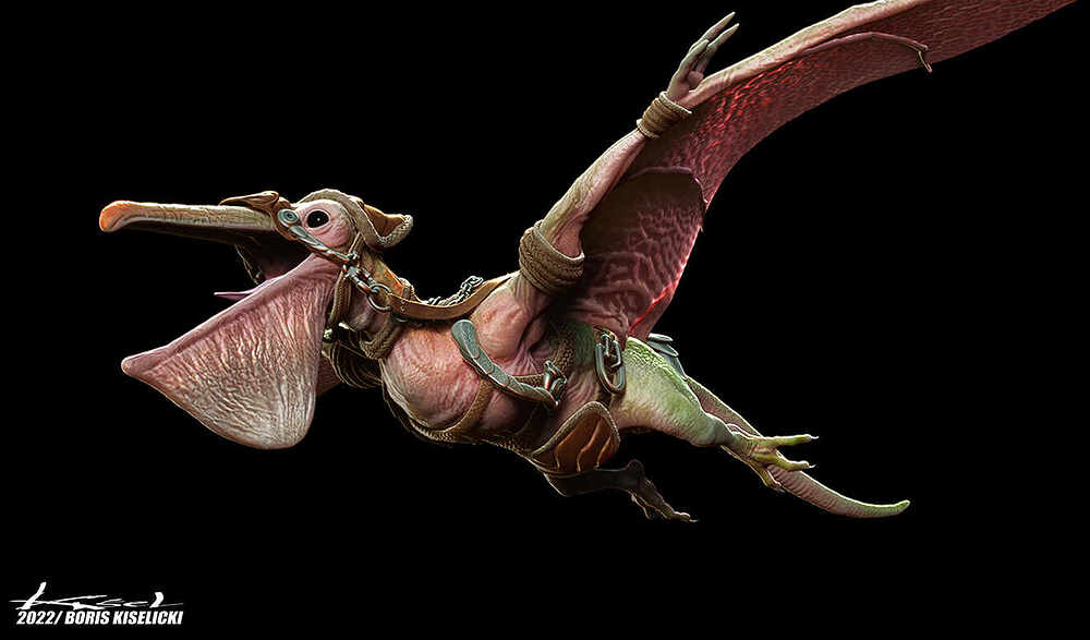 Birdy02