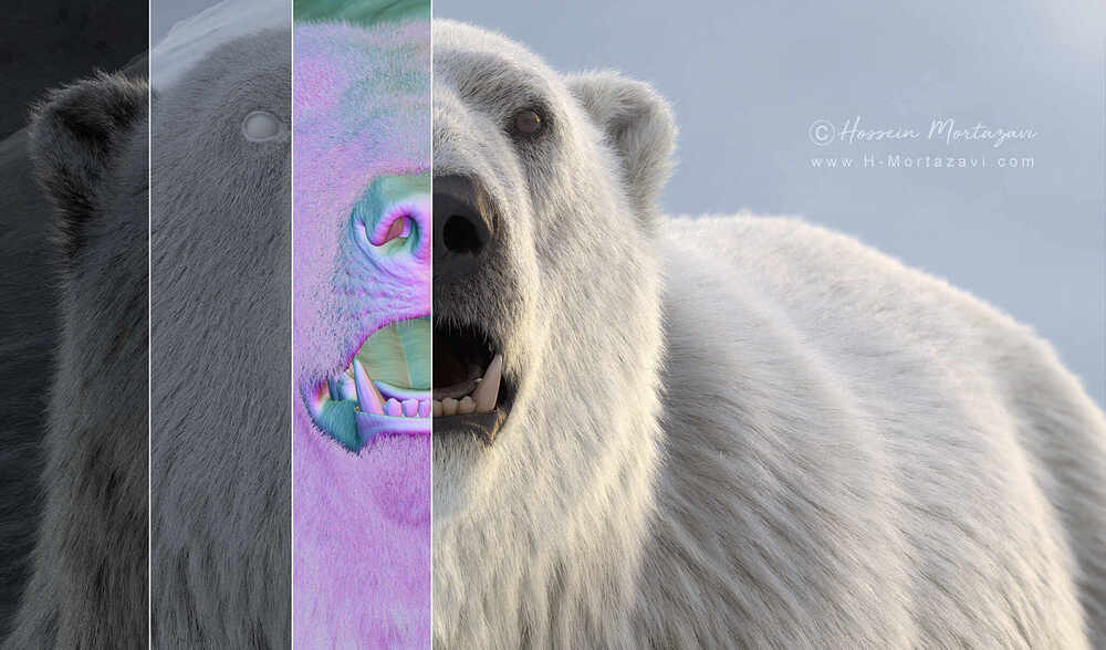 Polar Bear 06-www.h-mortazavi.com