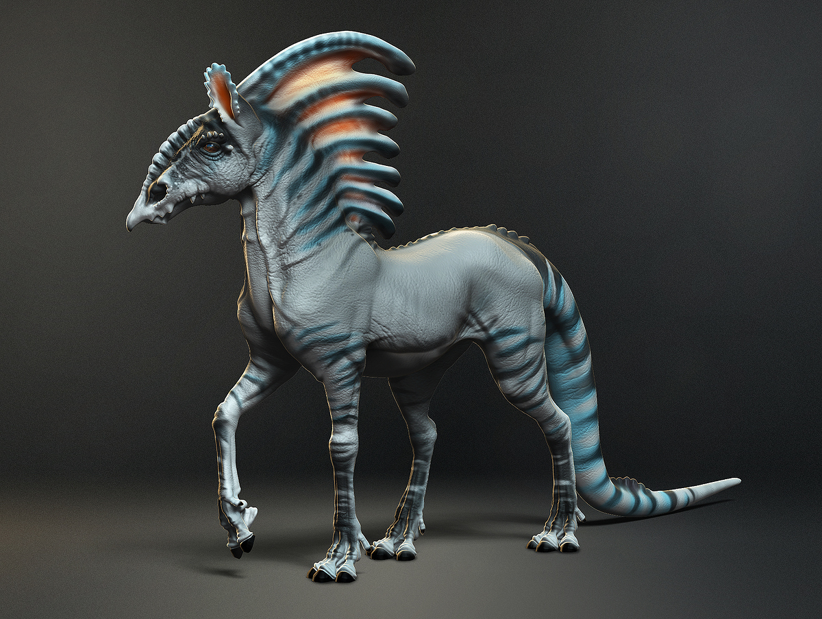 Marine_Mare_Main_Image