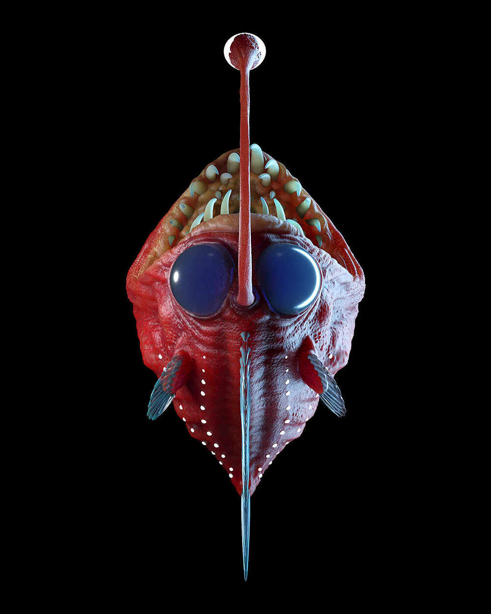 angler6