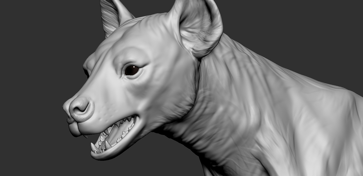 Hyena_08