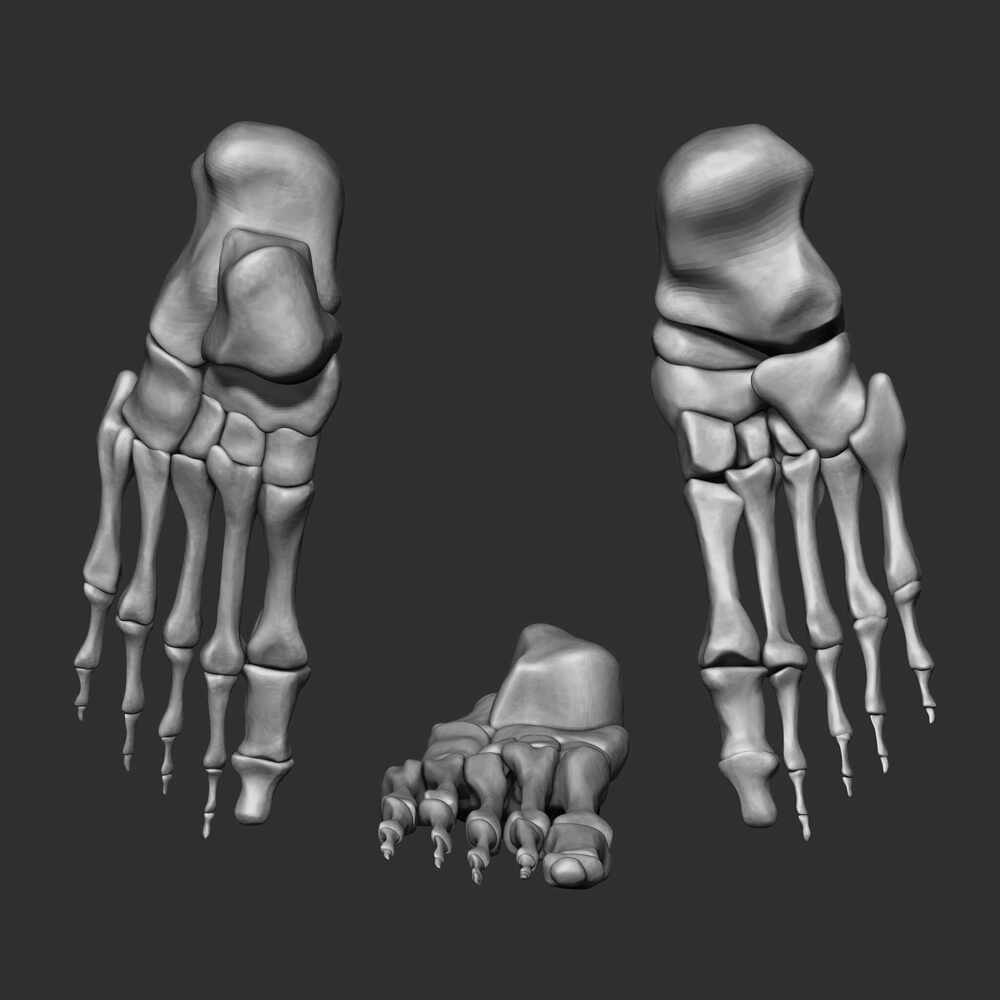 foot