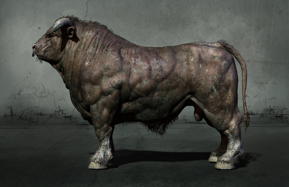 bull_side_Room