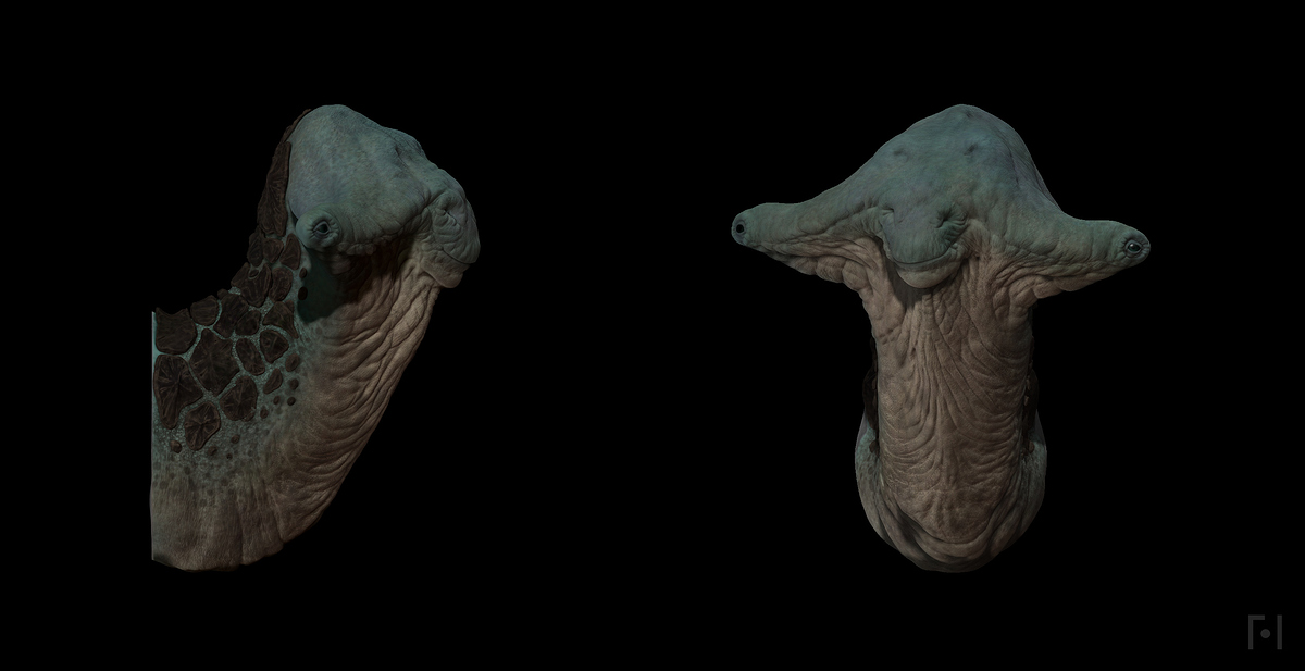 clay-front_0001_Colour