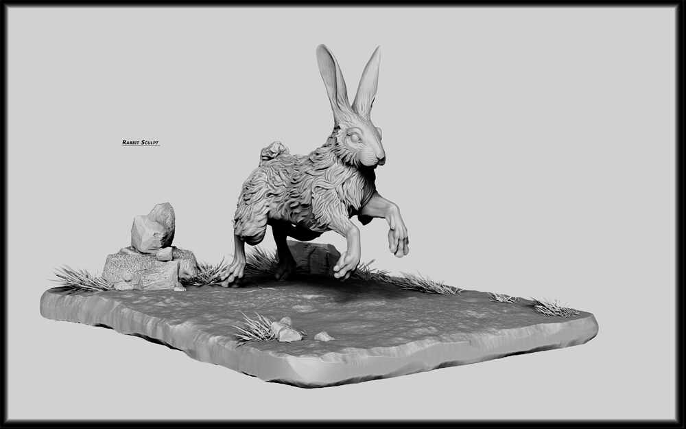 rabbit-1