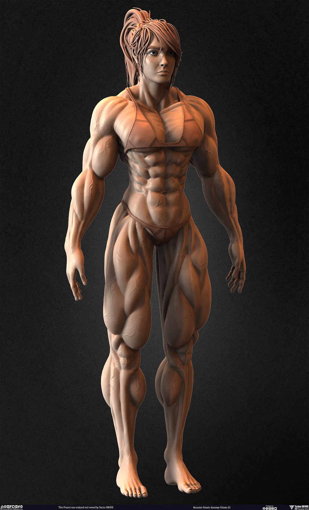 Muscular Female anatomy Volume 02 sculpted by Yacine BRINIS 015