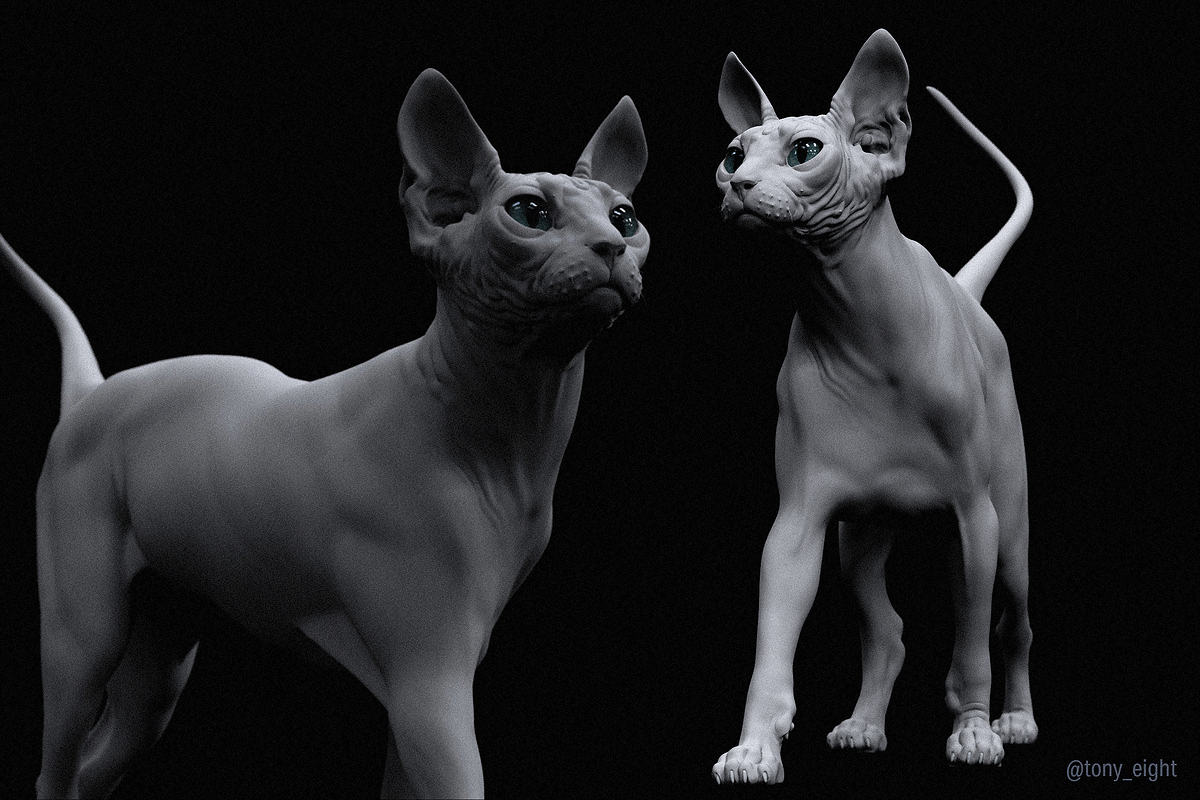 sphynx_render_03