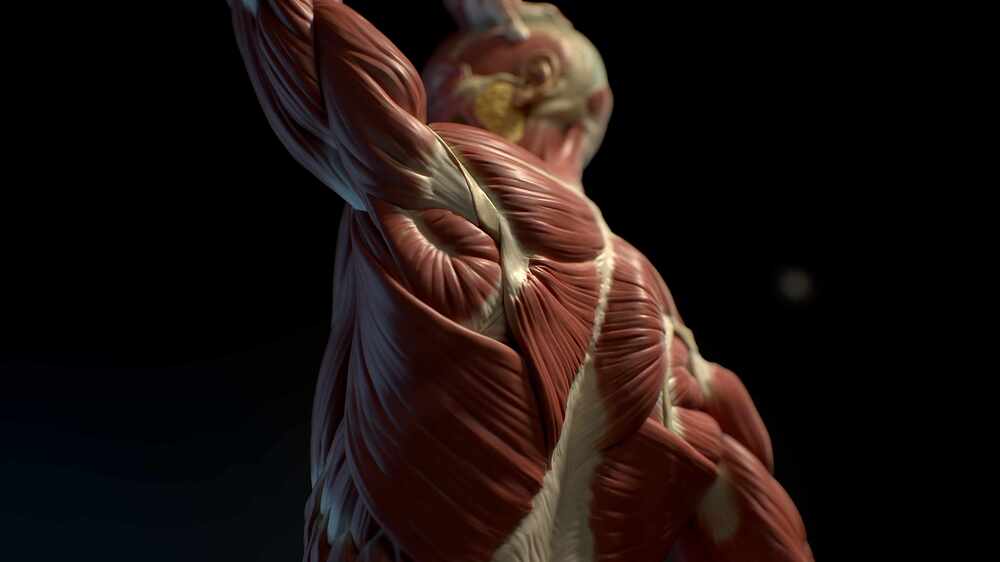 zEcorche2_Camera 5_001