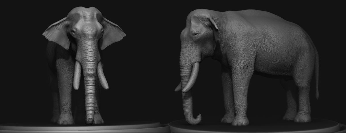 Elephant_002