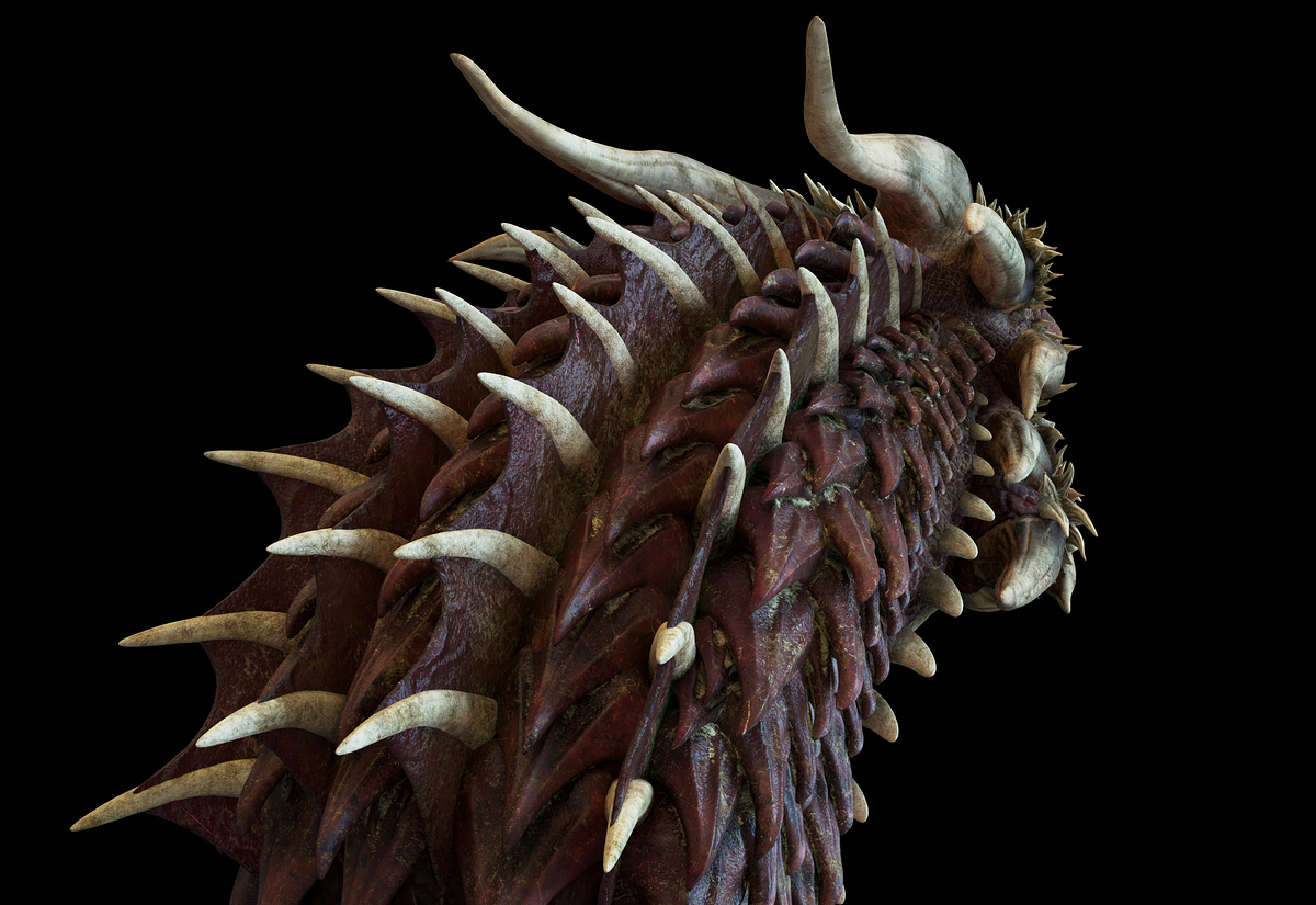 tete_dragon_texture_cam_6