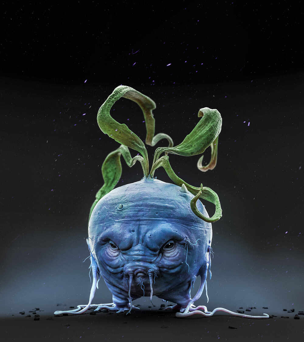 a-Oddish