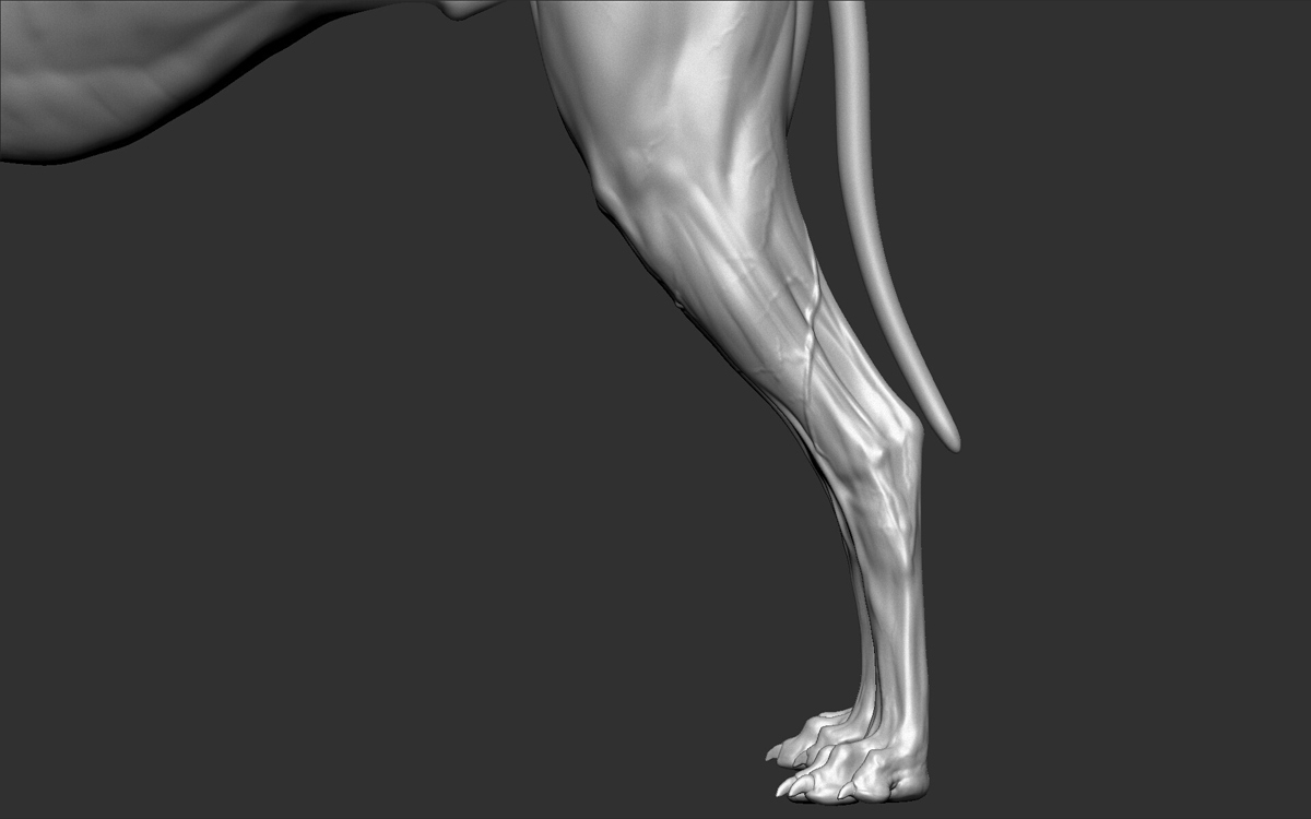 a_-models-17