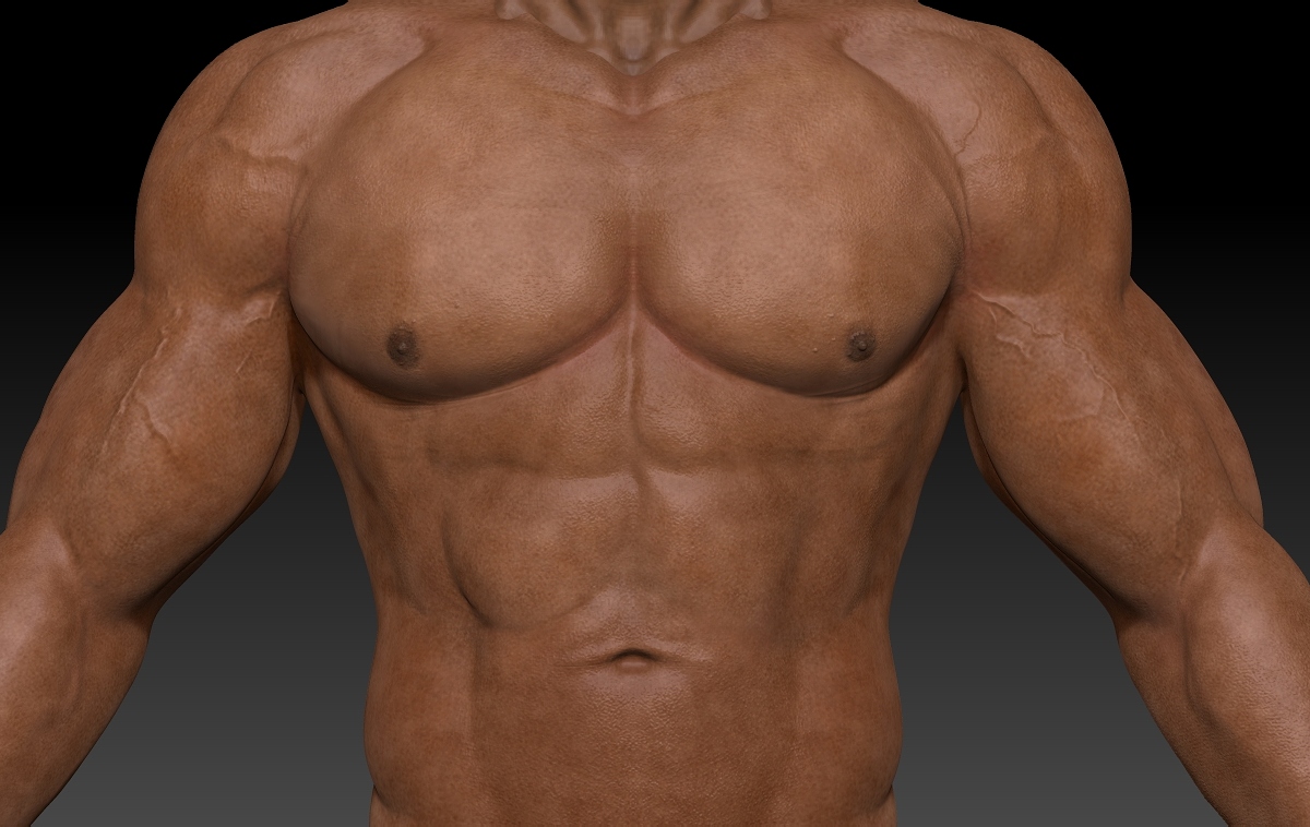 Body WIP.jpg