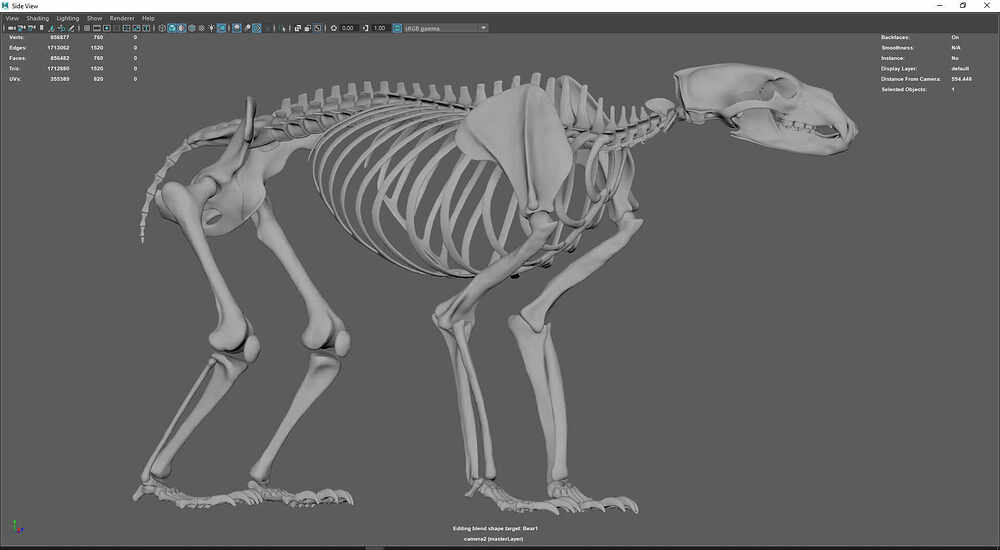 Polar Bear _WIP04-www.h-mortazavi.com