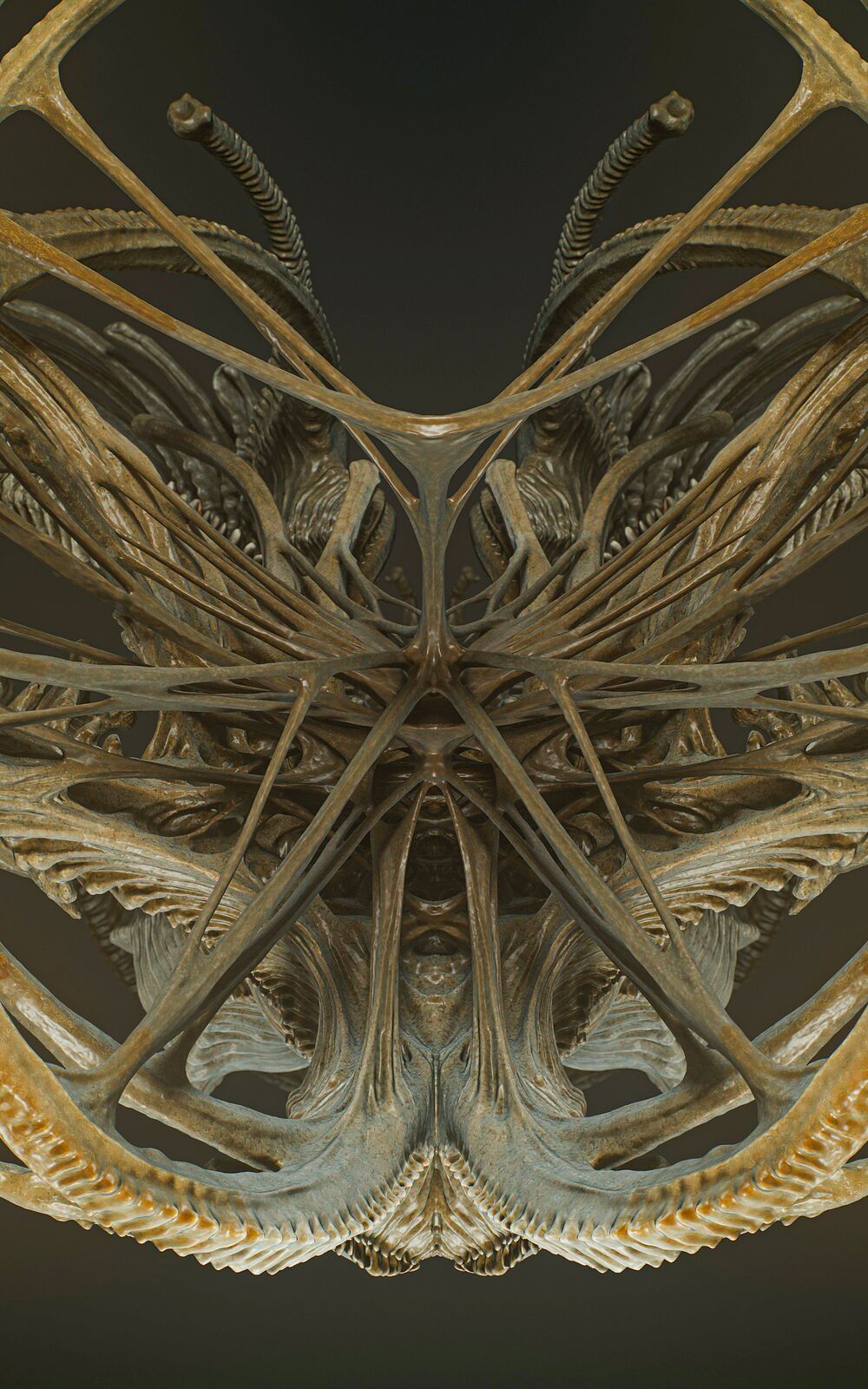 Partially2_Cold_Symmetry_009