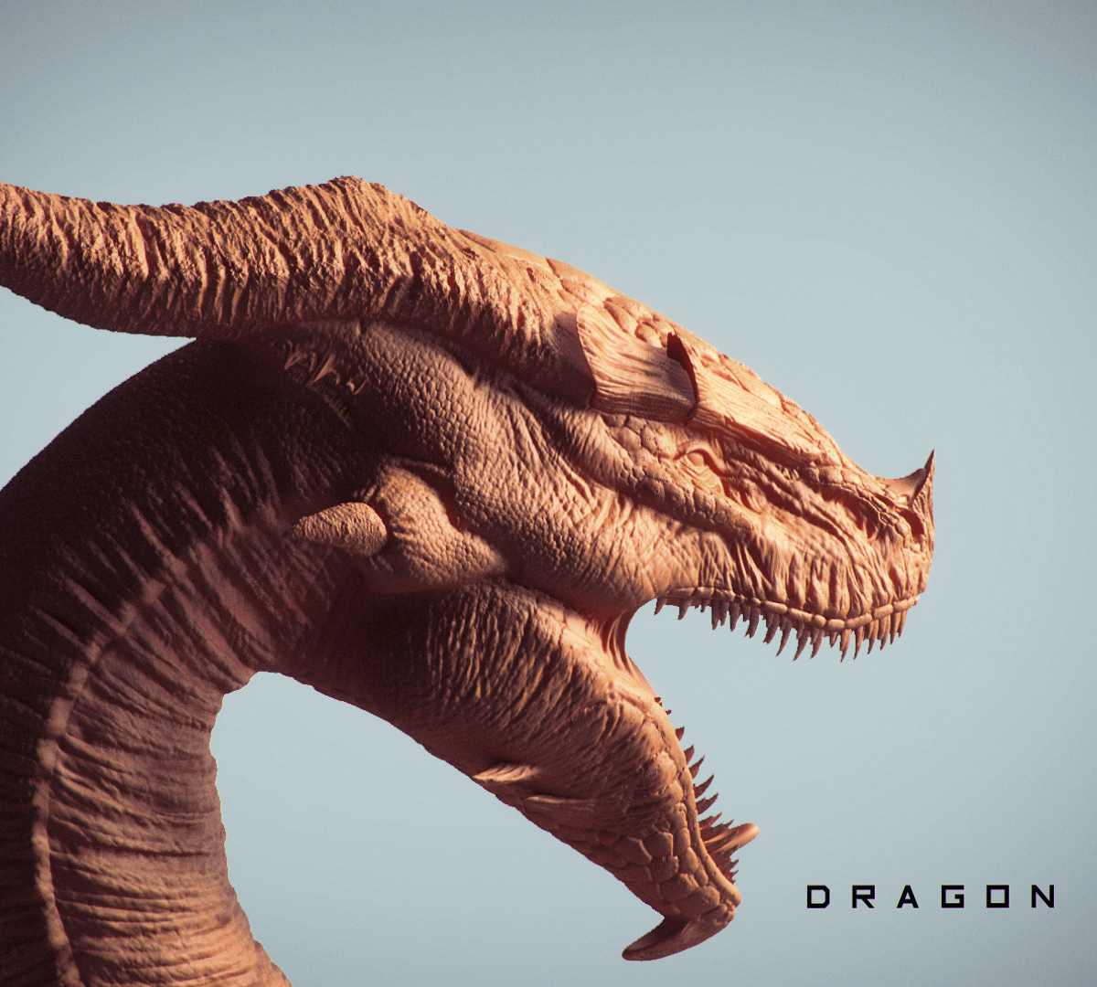 dragon 1 sd.jpg