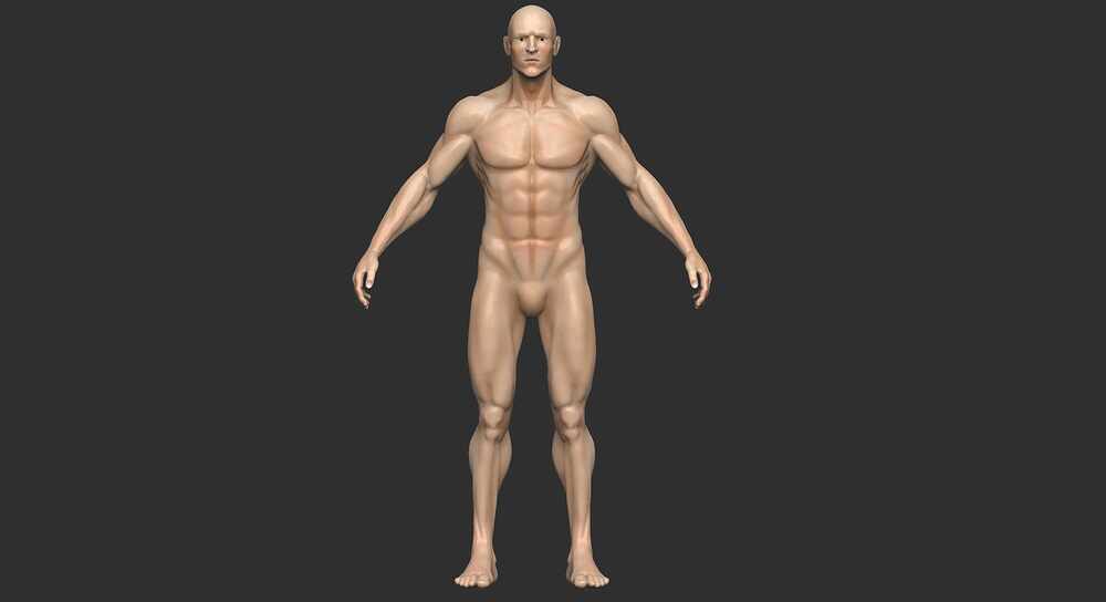 Base_Male  Render_Bruto_BEST