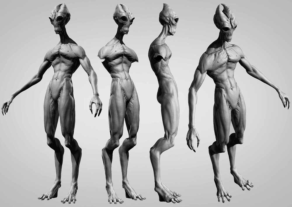 Base Render _7